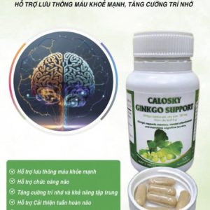 Thực phẩm bảo vệ não Calosky Ginko Support